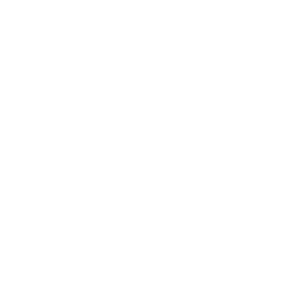 Flex W Lex White